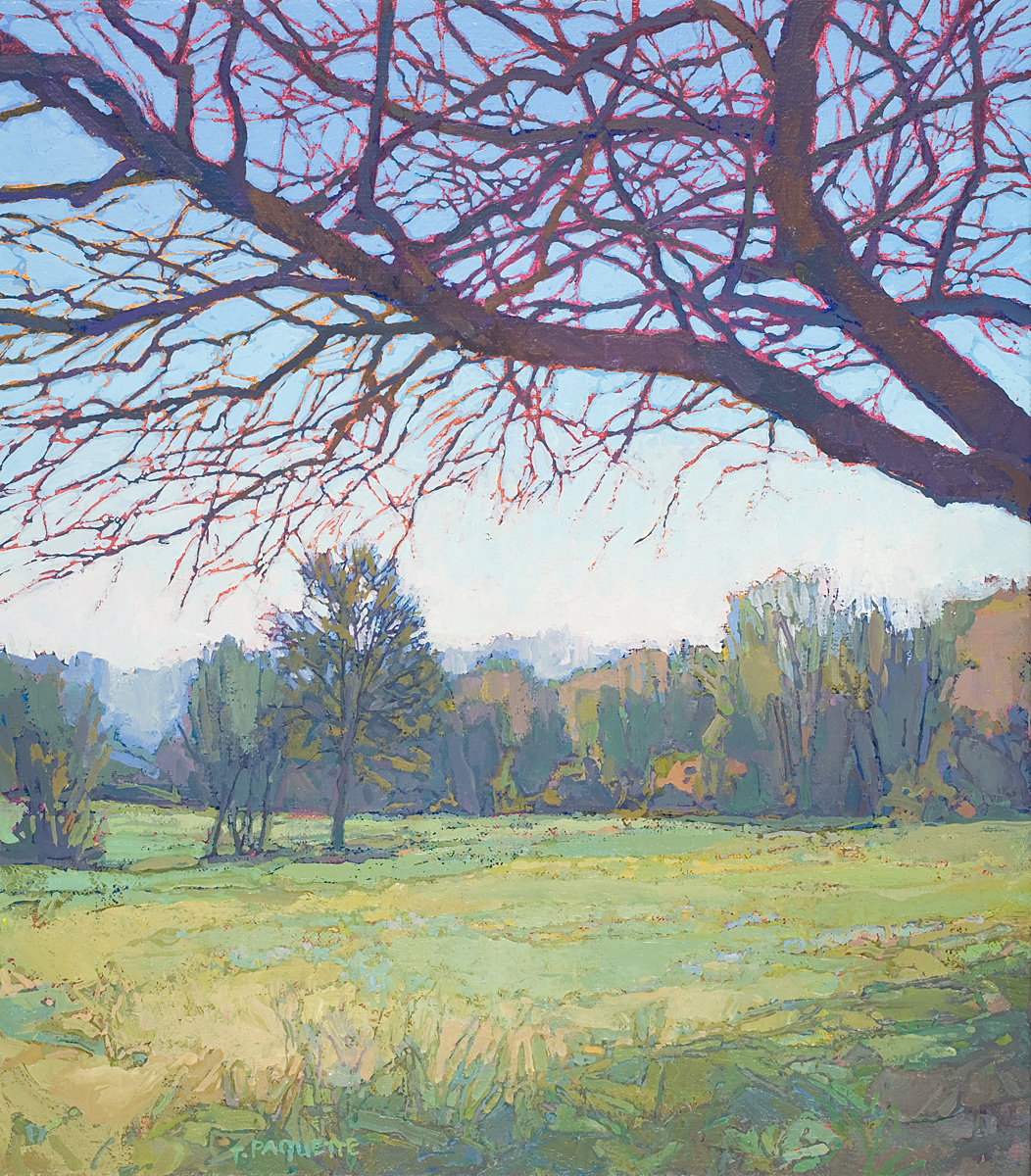 contemporary landscape oil painting of trees and field in the Luberon