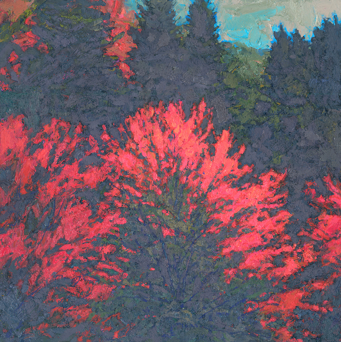 small contemporary landscape oil painting of fall maple trees