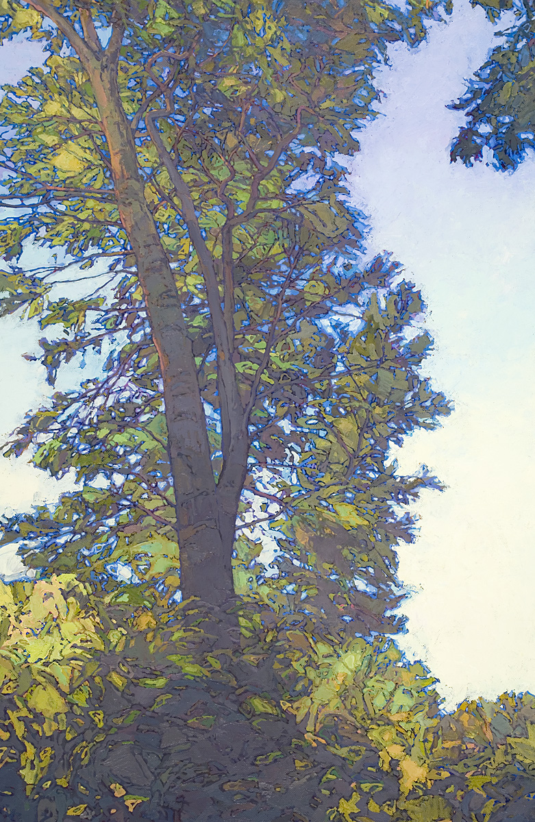 contemporary landscape oil painting - cottonwood tree portrait