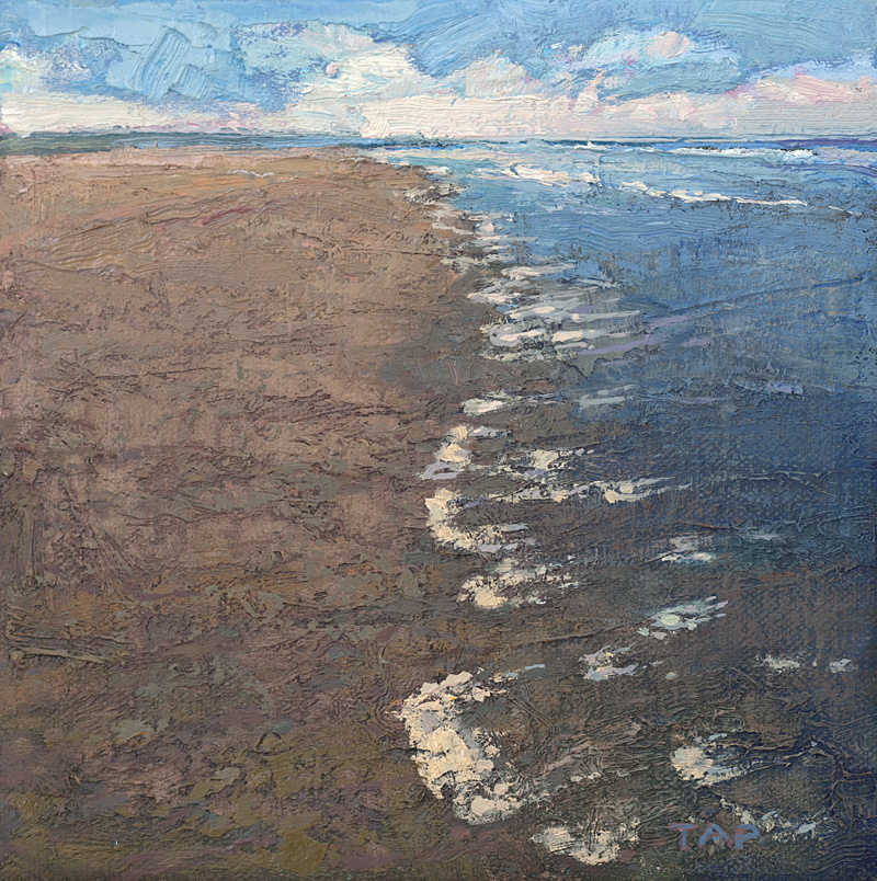 contemporary landscape oil painting of shoreline wilderness area on Cumberland Island, Georgia