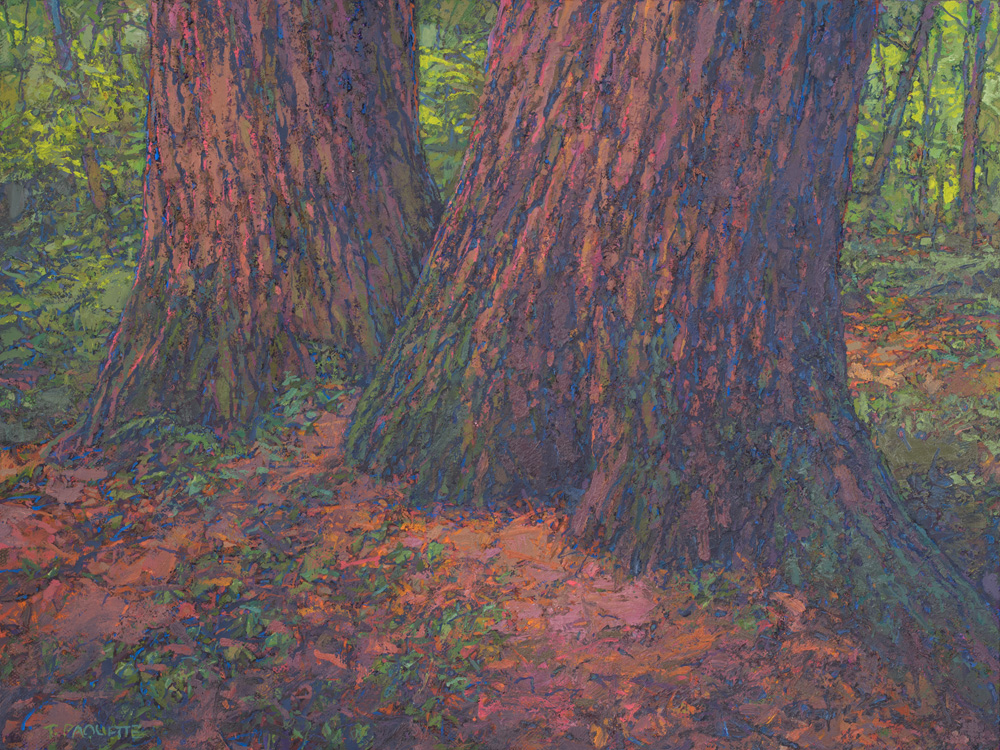 Pinkerton Trail Trees, 18 x 24