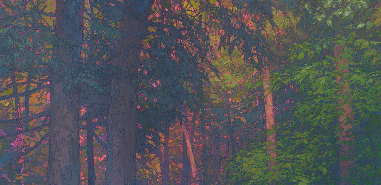 G.H. Old-Growth Forest, 36 x 74