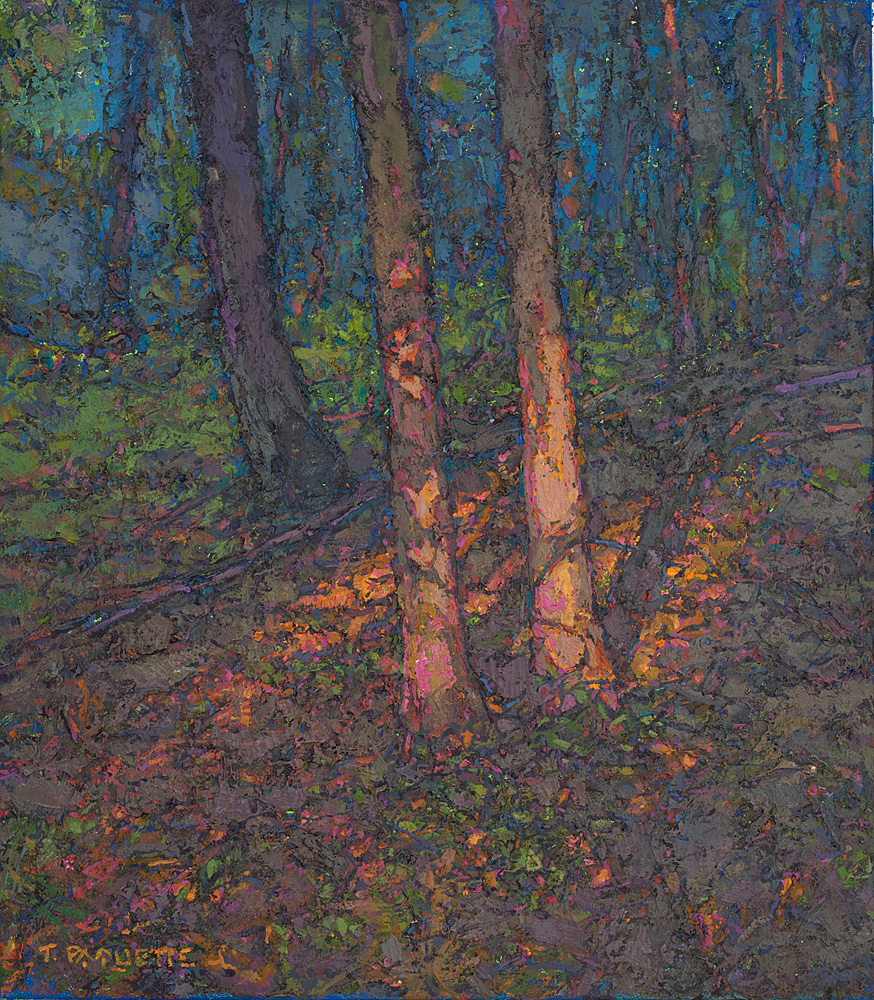 Late Sun in Forest, 16 x 14