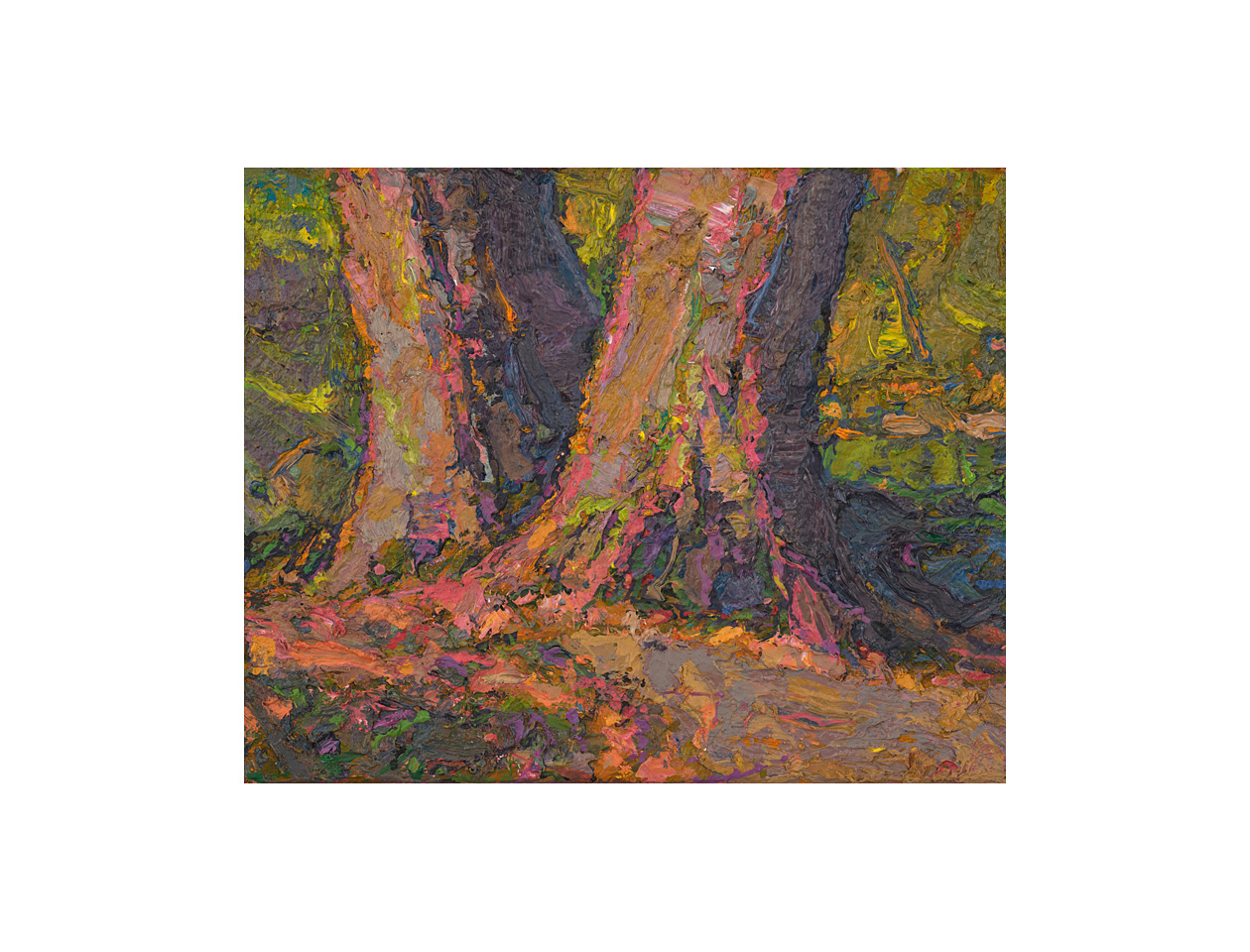 Pinkerton Trees, 5 x 6