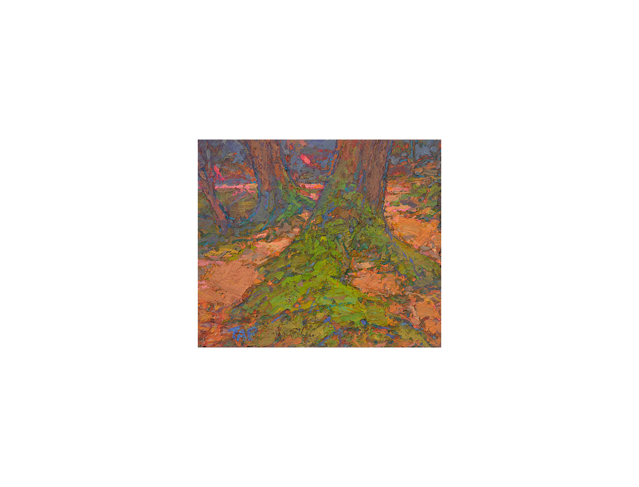 Mossy Roots 1, 4 x 5