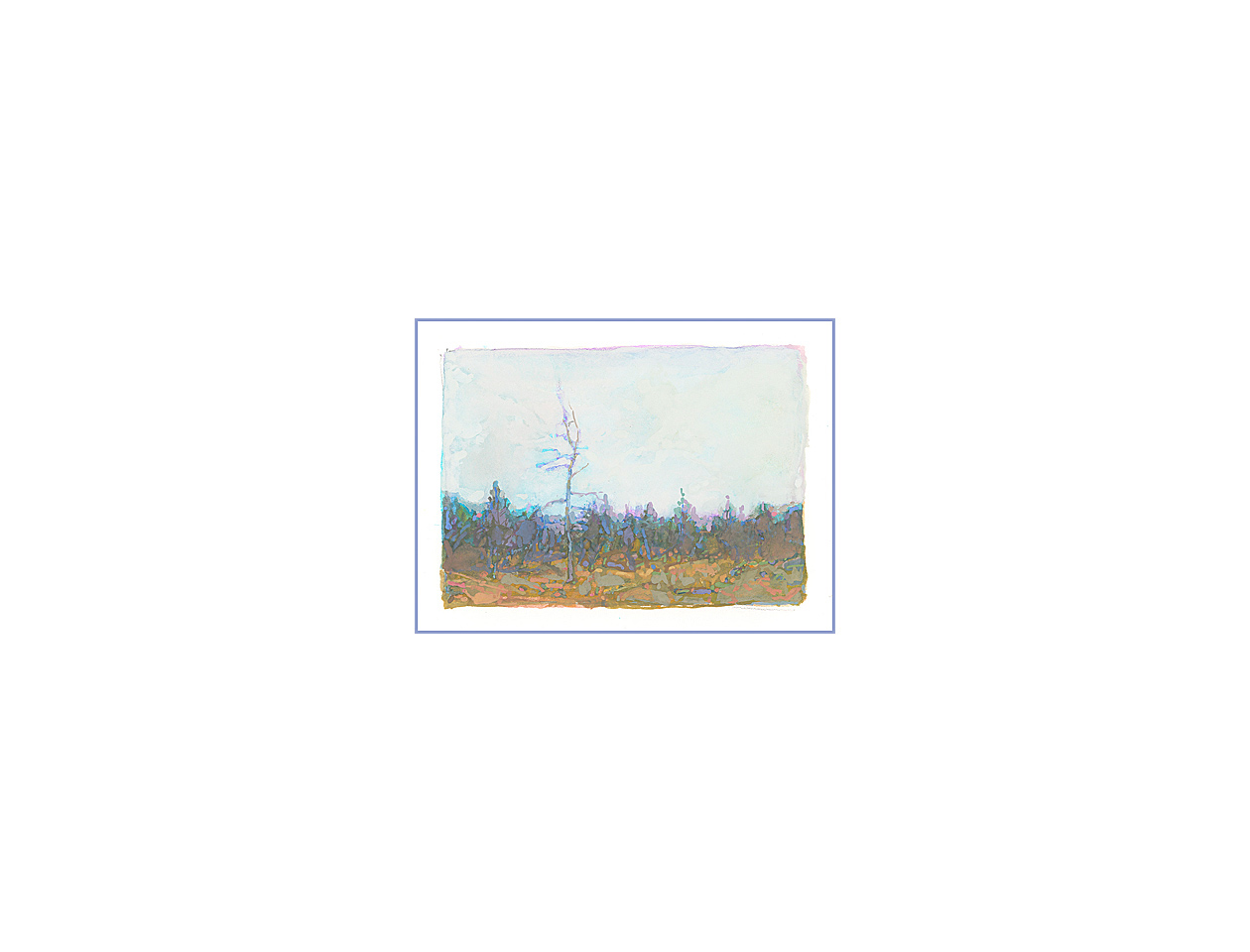 Little Bog
